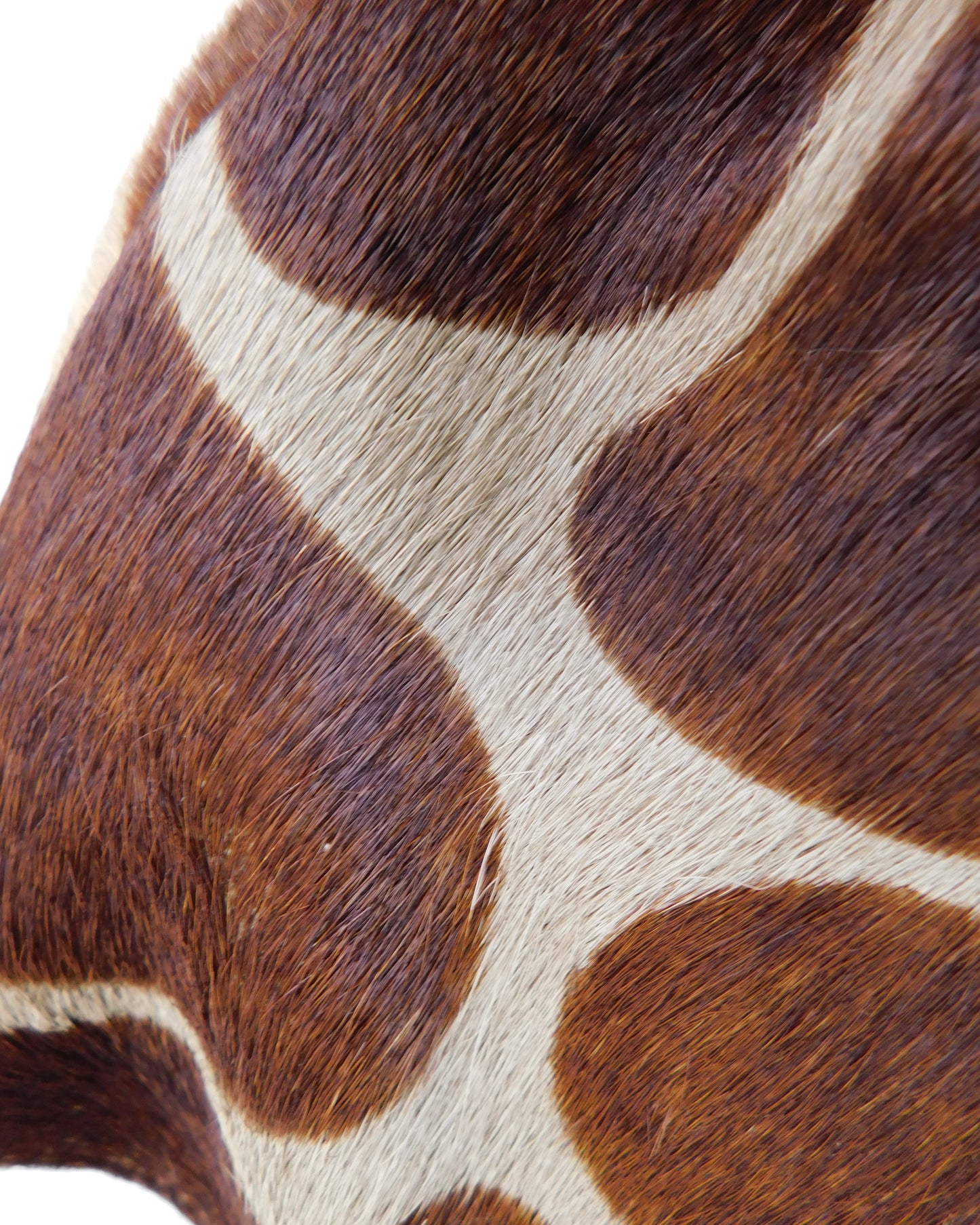 Maurizio Taiuti Giraffe Bag