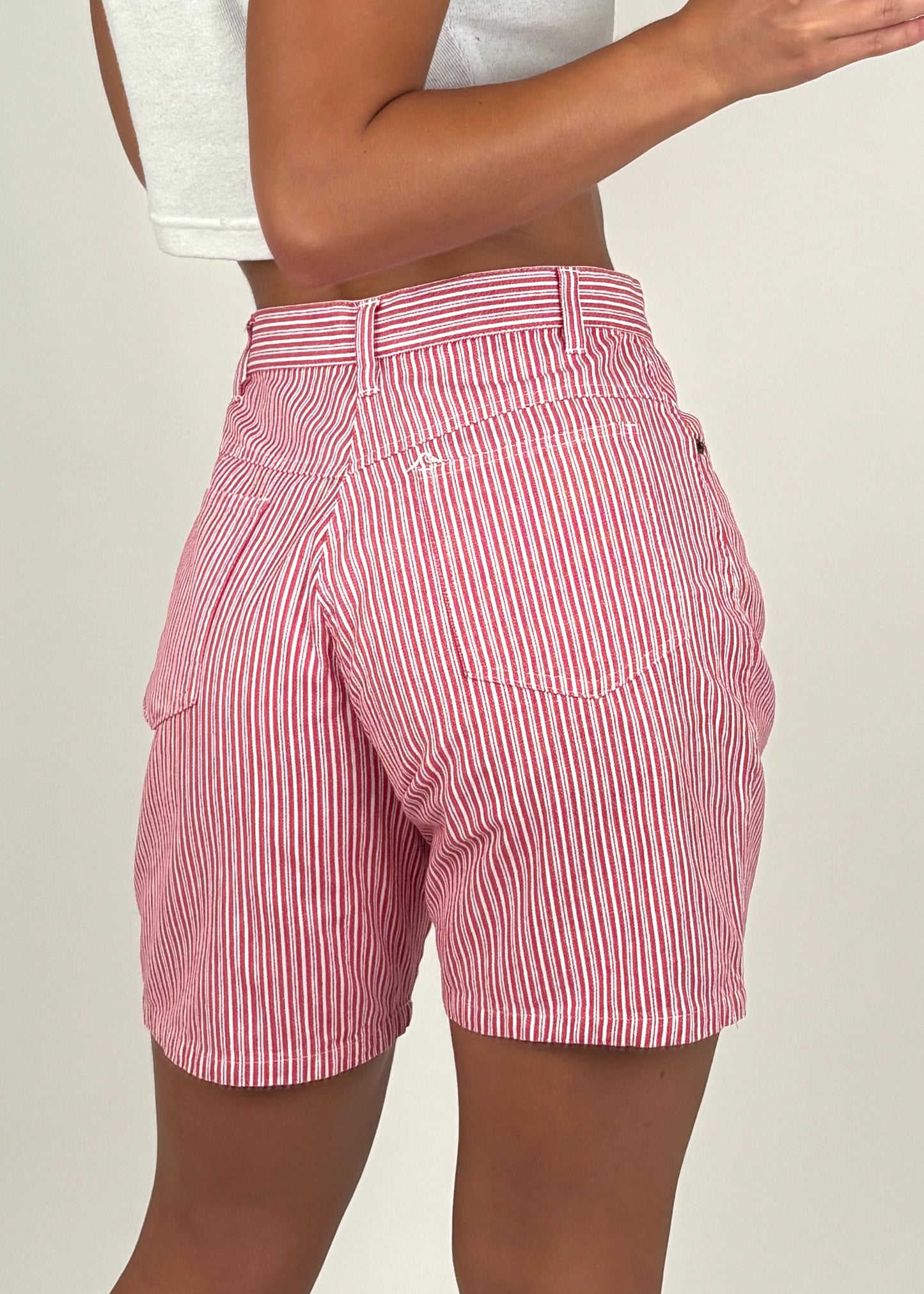 Northern Reflections Shorts | Size 26” waist