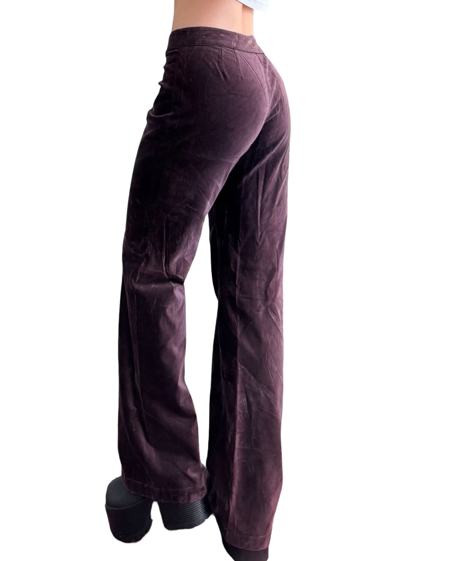 Ann Taylor 90's Velvet Pant | Size 30" Waist