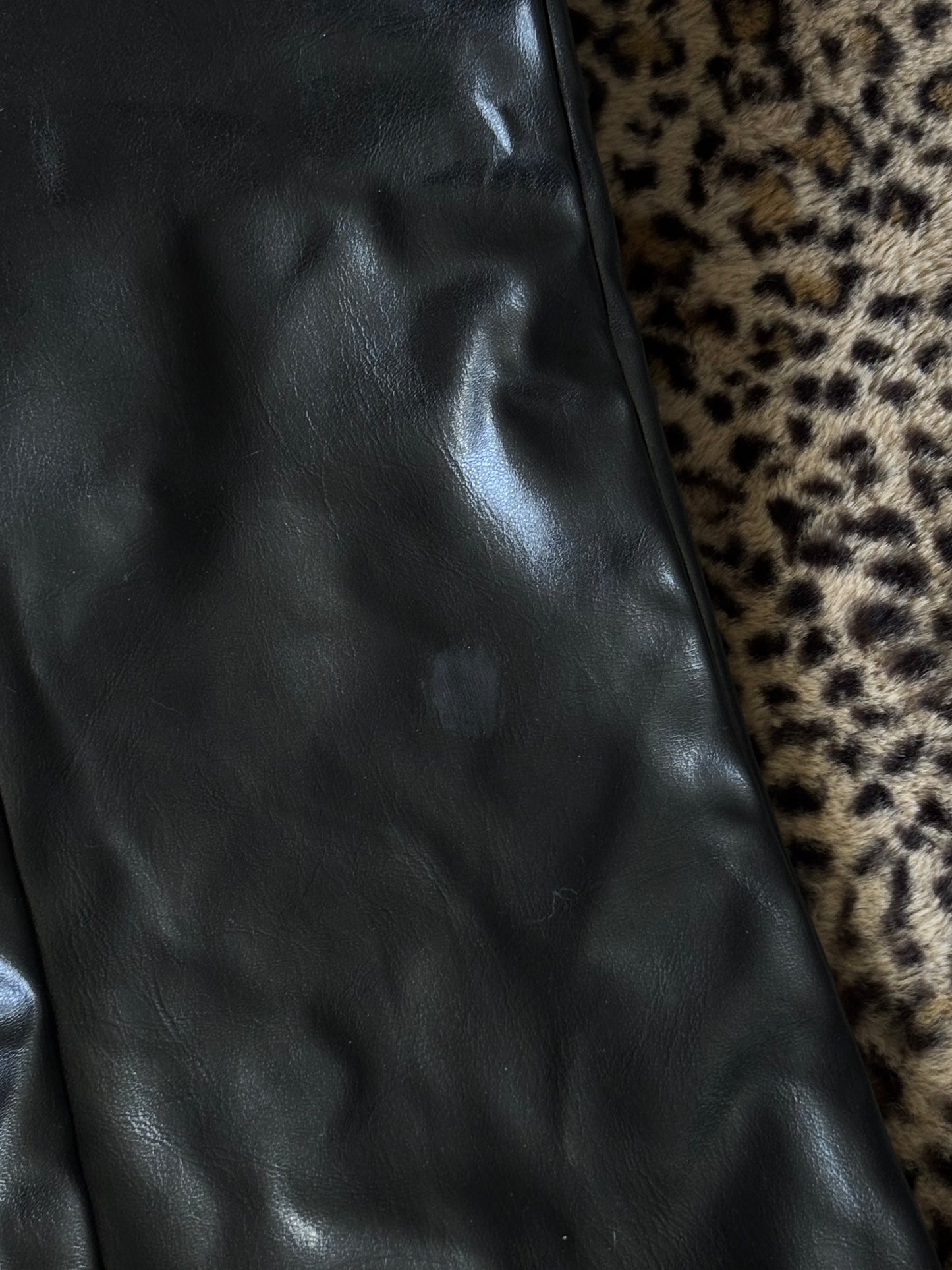 Evolution 00's Leather Pants | Size 26" Waist