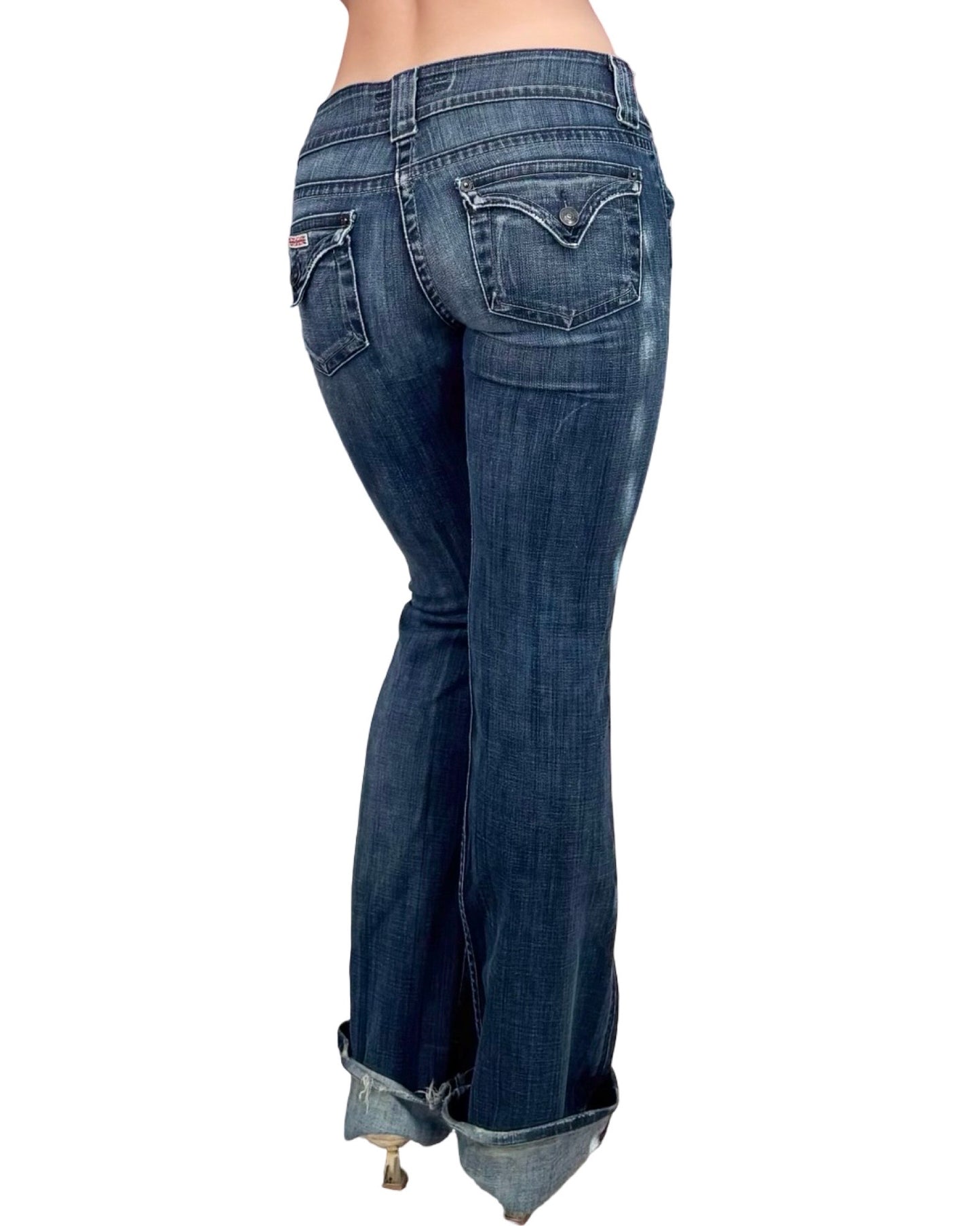 Hudson 00's Low Rise Jeans | Size 32" Waist