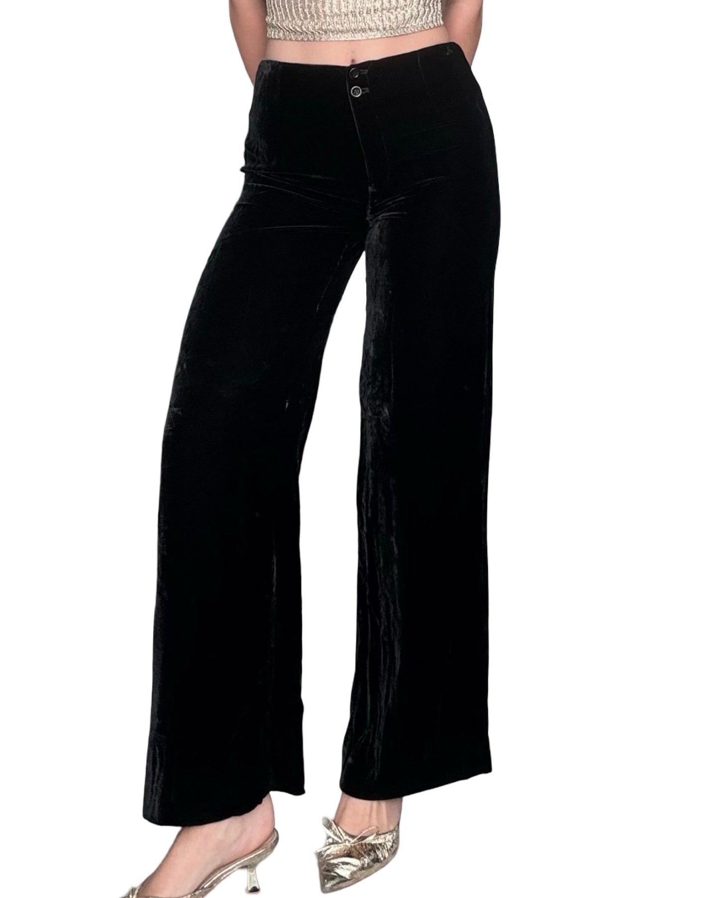 Talbots 90's Velvet Pant | Size 2