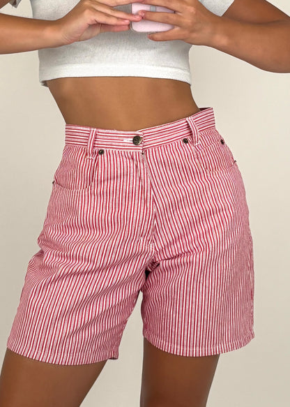 Northern Reflections Shorts | Size 26” waist