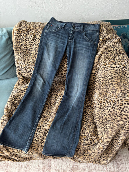 Hudson 00's Low Rise Jeans | Size 32" Waist