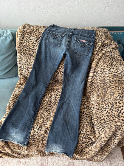 Hudson 00's Low Rise Jeans | Size 32" Waist